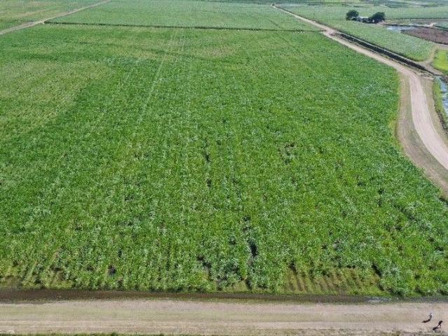 Cottage for sale in Alva, Queensland