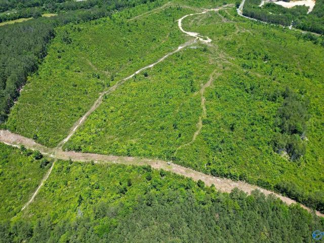 Land for sale in Valley Head, Alabama