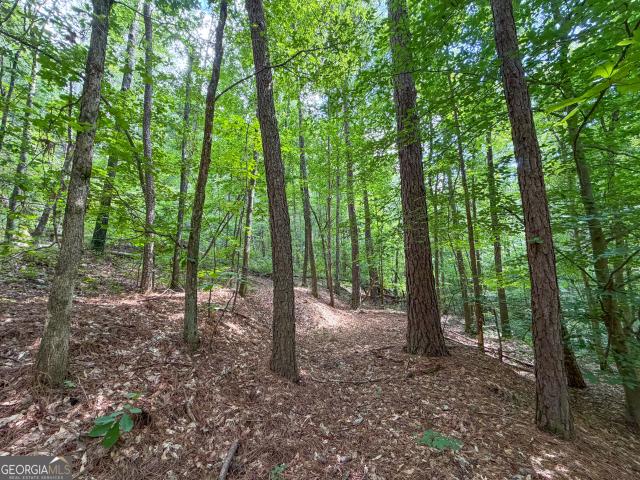 Land for sale in Summerville, Chattooga County
