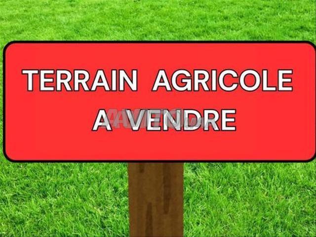 Propriété vente à Mohammedia, Gharb-Chrarda-Beni Hssen