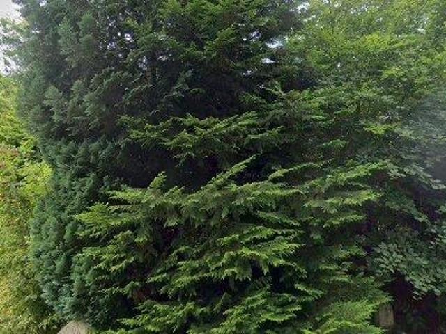 Lejlighed til salg i Varde