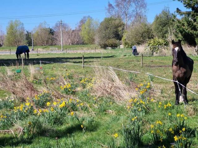 Property for sale in Otakou