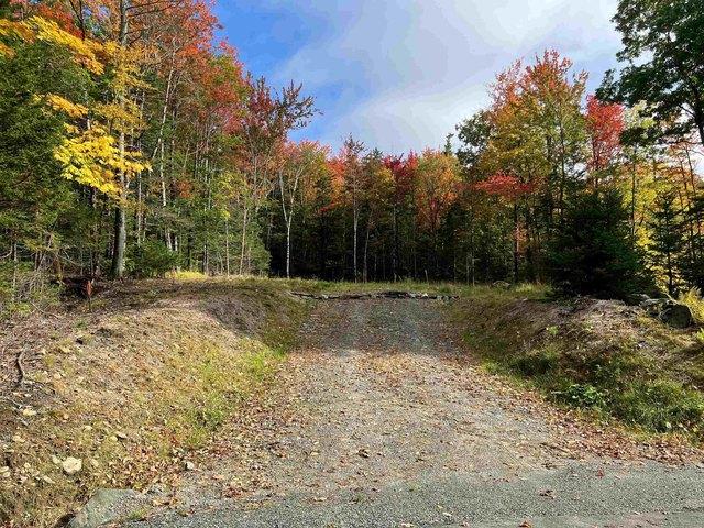 Land for sale in Dover, Windham County