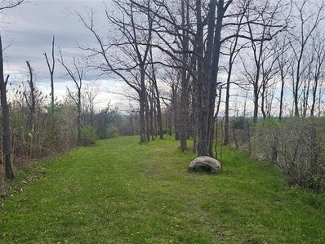 Land for sale in Seneca, New York