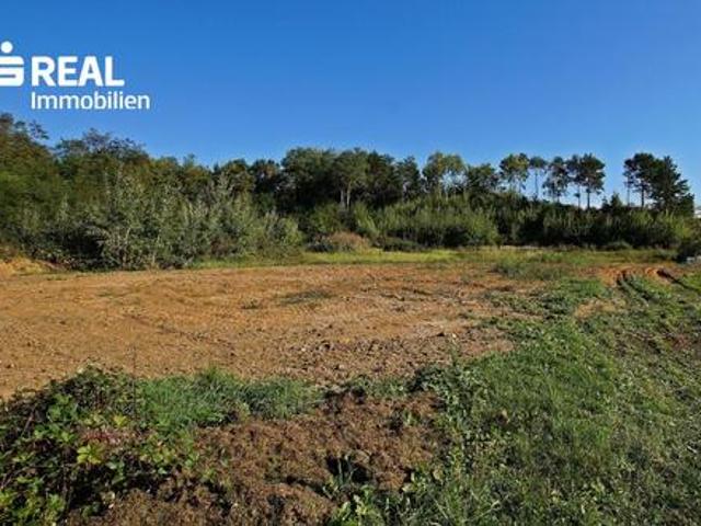 Grundstück kaufen in Großpetersdorf, Burgenland