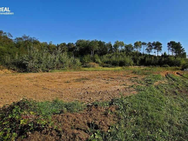Grundstück kaufen in Oberwart, Burgenland