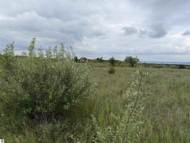 Land for sale in Williamsburg, Michigan
