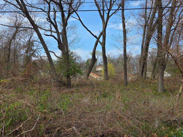 Land for sale in Miller Beach, Gary