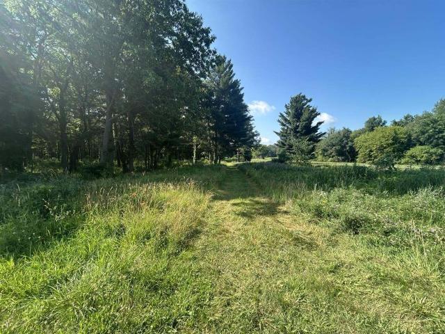 Land for sale in Hillsdale, Michigan