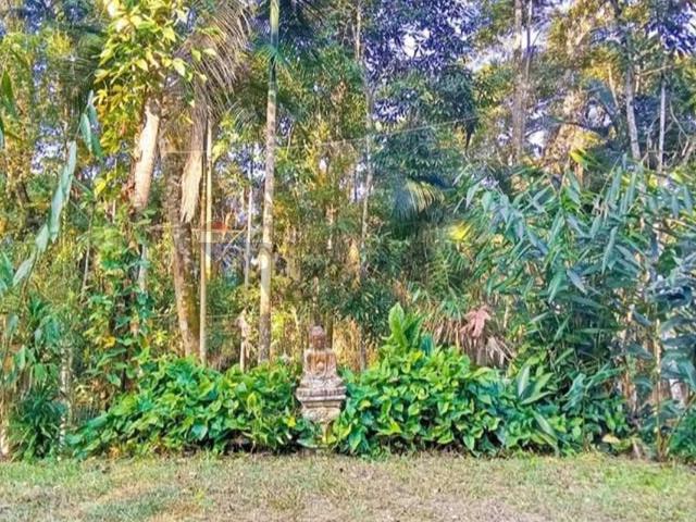 Casa aluguel em Região Geográfica Imediata de Resende, Itatiaia
