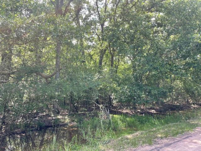 Land for sale in Limestone, Texas