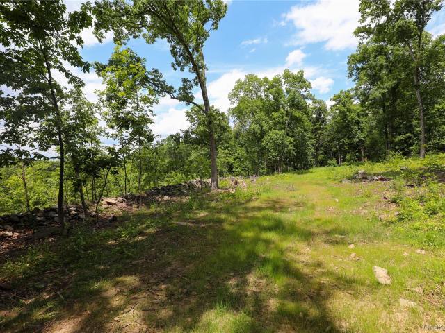Land for sale in Connelly, New York