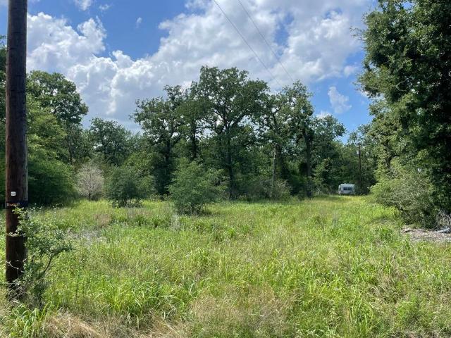 Land for sale in Limestone, Texas