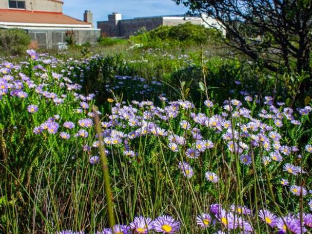 Land for sale in Western Cape