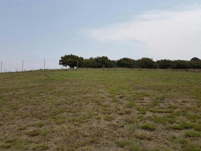 Land for sale in Mopani, Limpopo