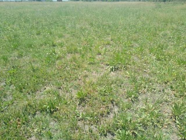 Land for sale in Sasolburg, Metsimaholo Local Municipality