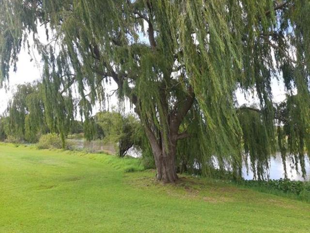 Land for sale in Koppies, Free State
