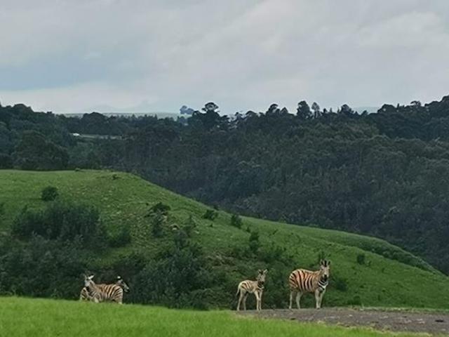 Land for sale in Ladysmith, Kwazulu-natal