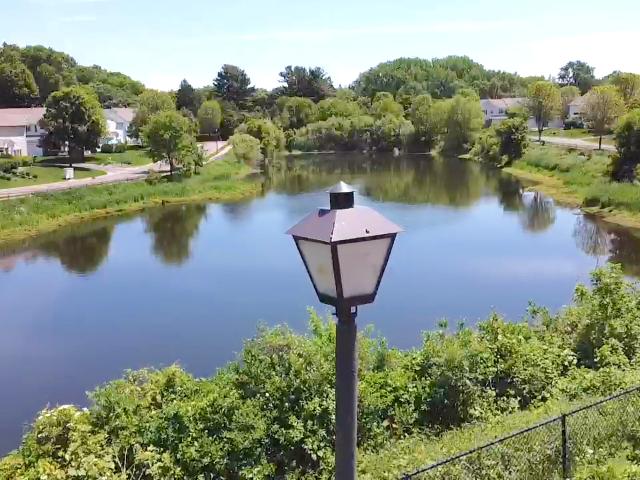 Townhouse for sale in Ramsey, Minnesota