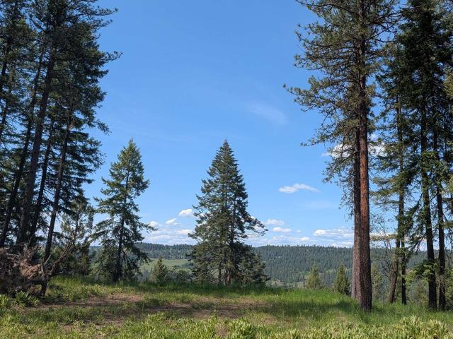 Land for sale in Orofino, Idaho