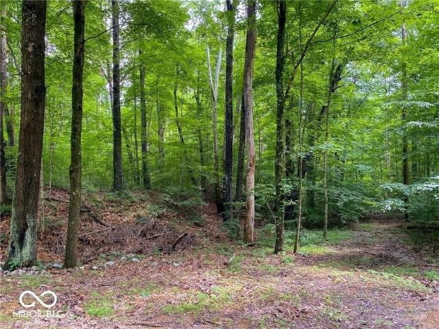 Property for sale in Indiana