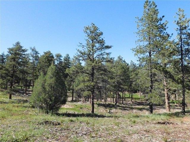 Land for sale in Colorado