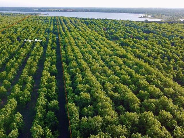 Property for sale in Comanche, Texas