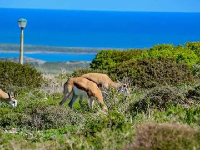 Land for sale in Western Cape