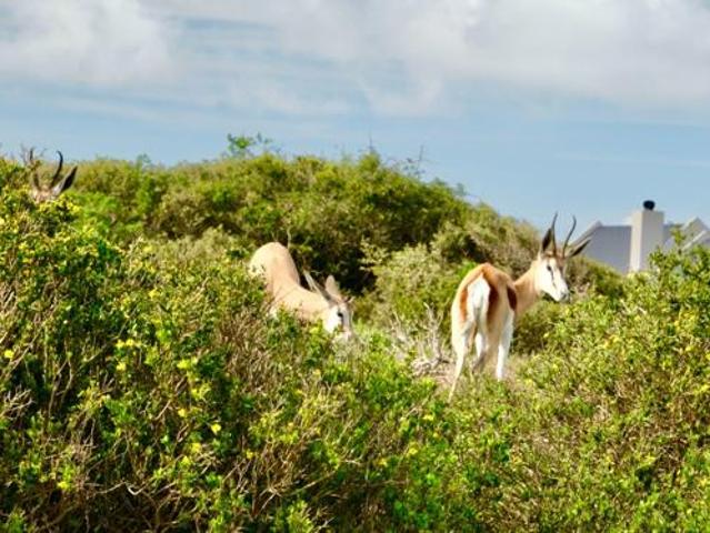 Land for sale in Western Cape