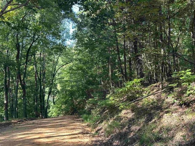 Land for sale in Waterloo, Lauderdale County