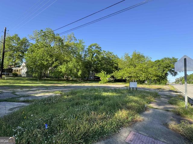 Land for sale in Baldwin, Georgia