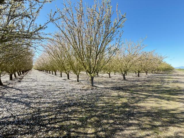 Land for sale in Stockton, California