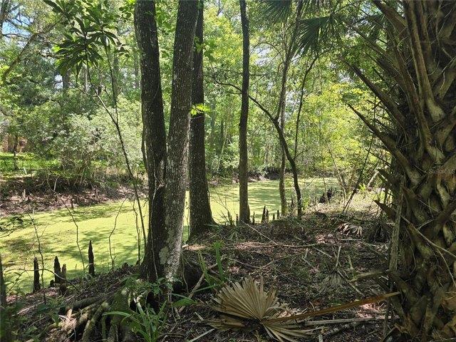 Land for sale in Florida