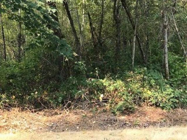 Land for sale in Bonney Lake, Pierce County