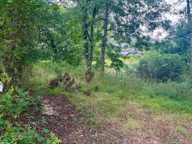 Land for sale in Leeds, Jefferson County