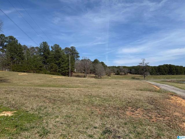 Land for sale in Morris, Alabama