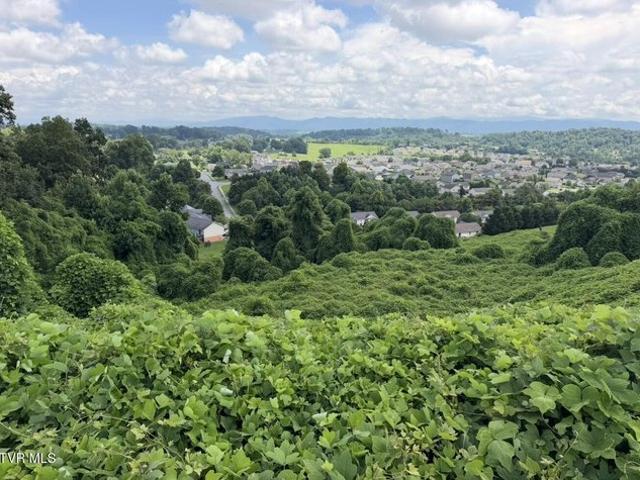 Land for sale in Jonesborough, East Tennessee