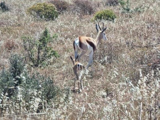 Land for sale in Western Cape