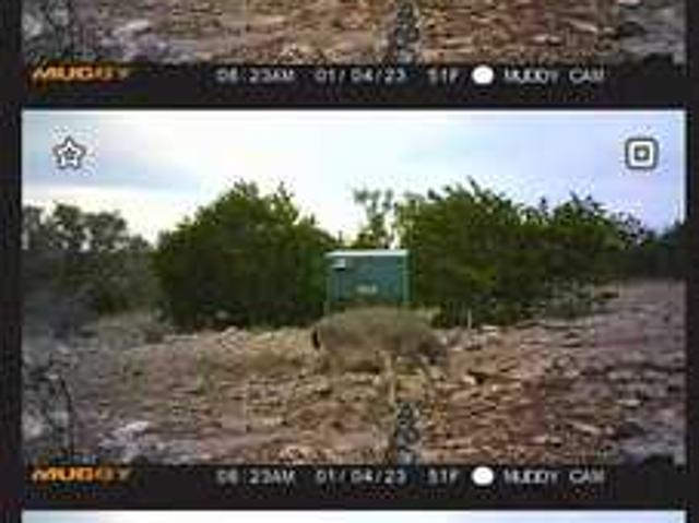 Farm for sale in Edwards, Texas