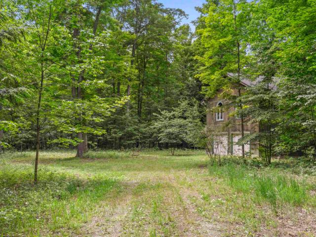 Land for sale in Michigan