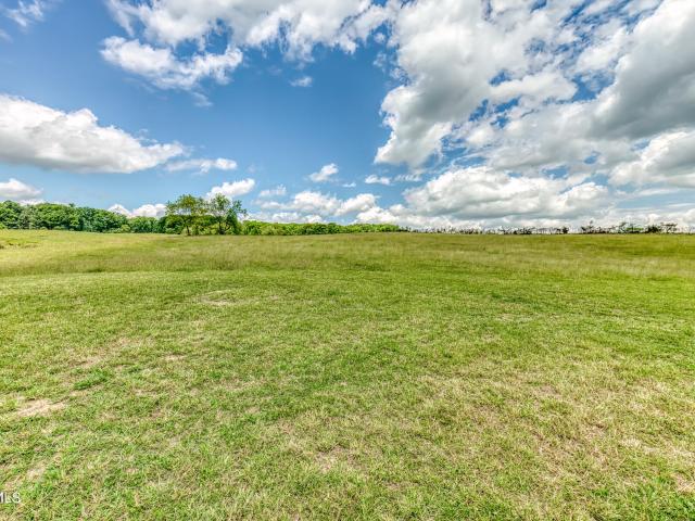 Land for sale in Tennessee