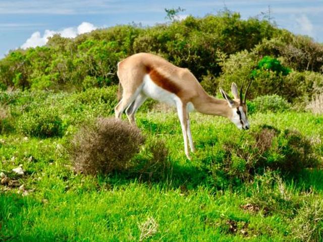 Land for sale in Western Cape