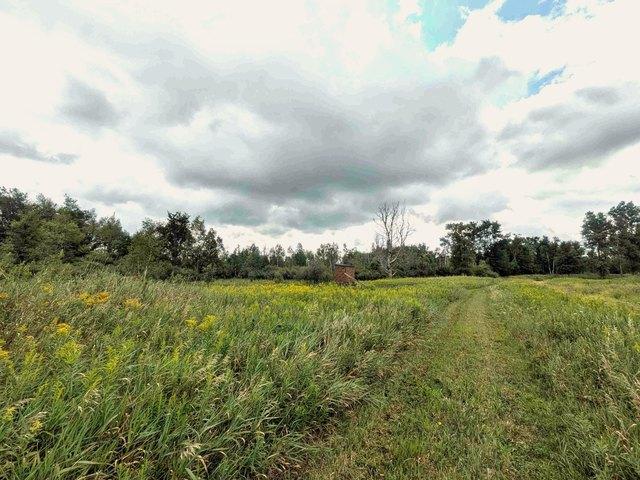 Land for sale in Tuscola, Michigan