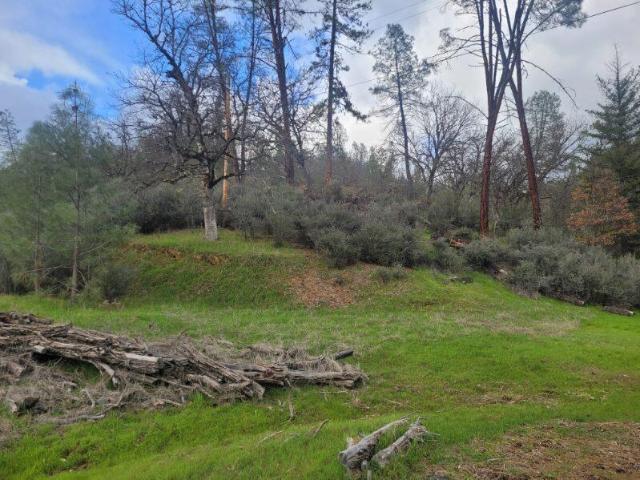 Land for sale in Lewiston, California