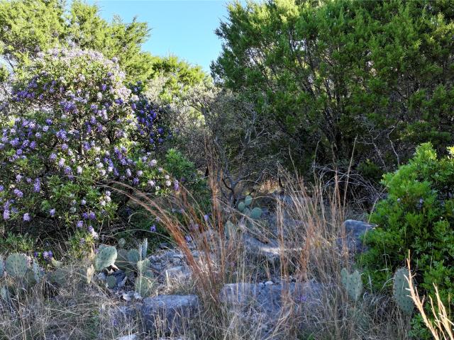 Land for sale in Lampasas, Texas