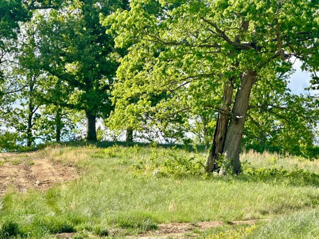 Land for sale in Laurel, Kentucky