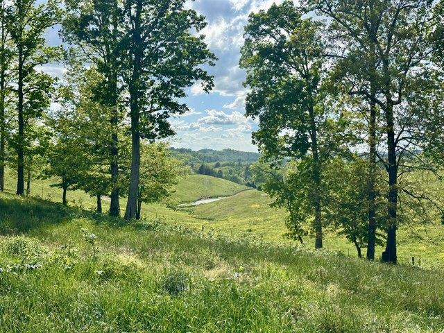 Land for sale in Laurel, Kentucky