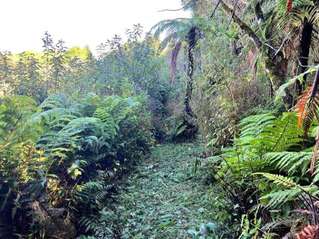 Land for sale in Rutherglen, West Coast