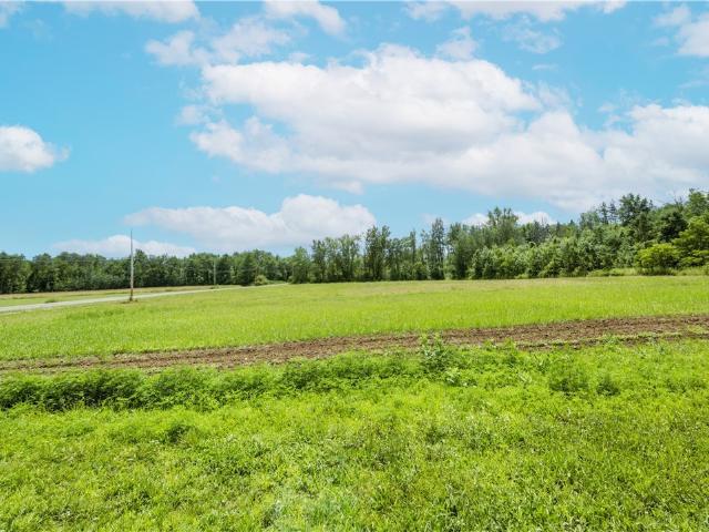 Land for sale in Kirkville, New York