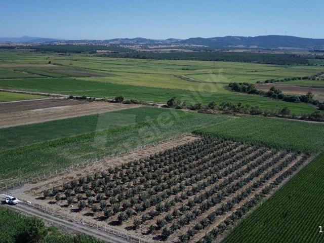 Gönen, Balikesir içerisinde satılık Arsa